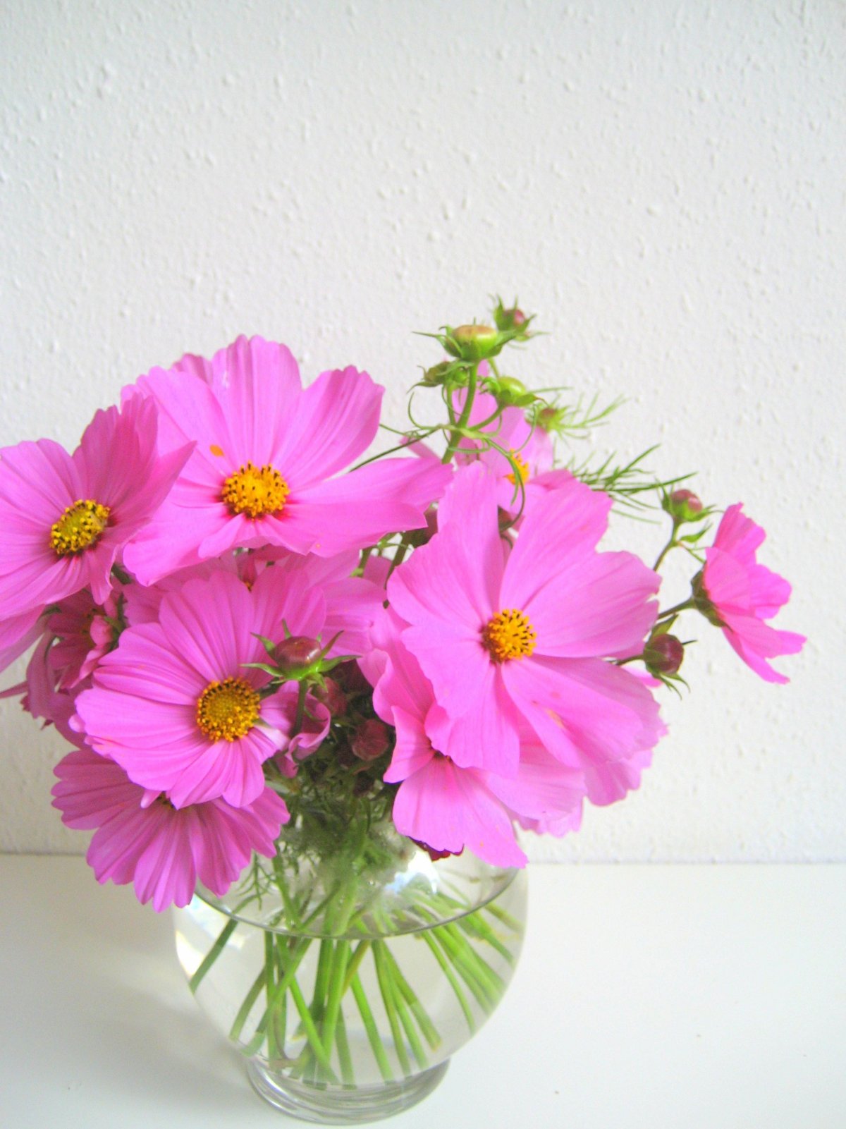 Космея цветы букеты