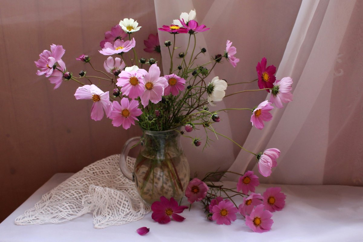 Космея букет