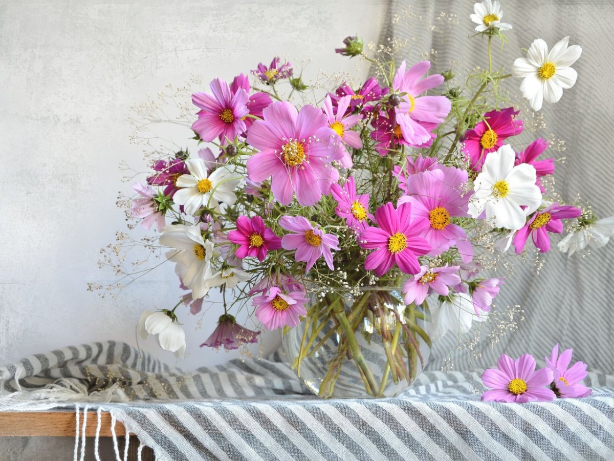 Фото открытка с днем рождения букет в вазе