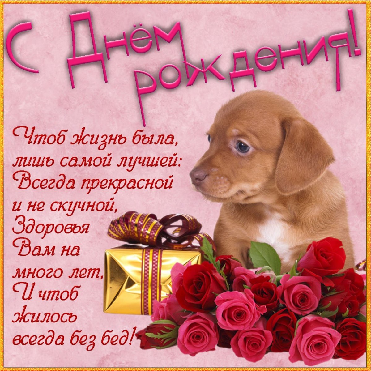 Поздравления с днём рождения Алена