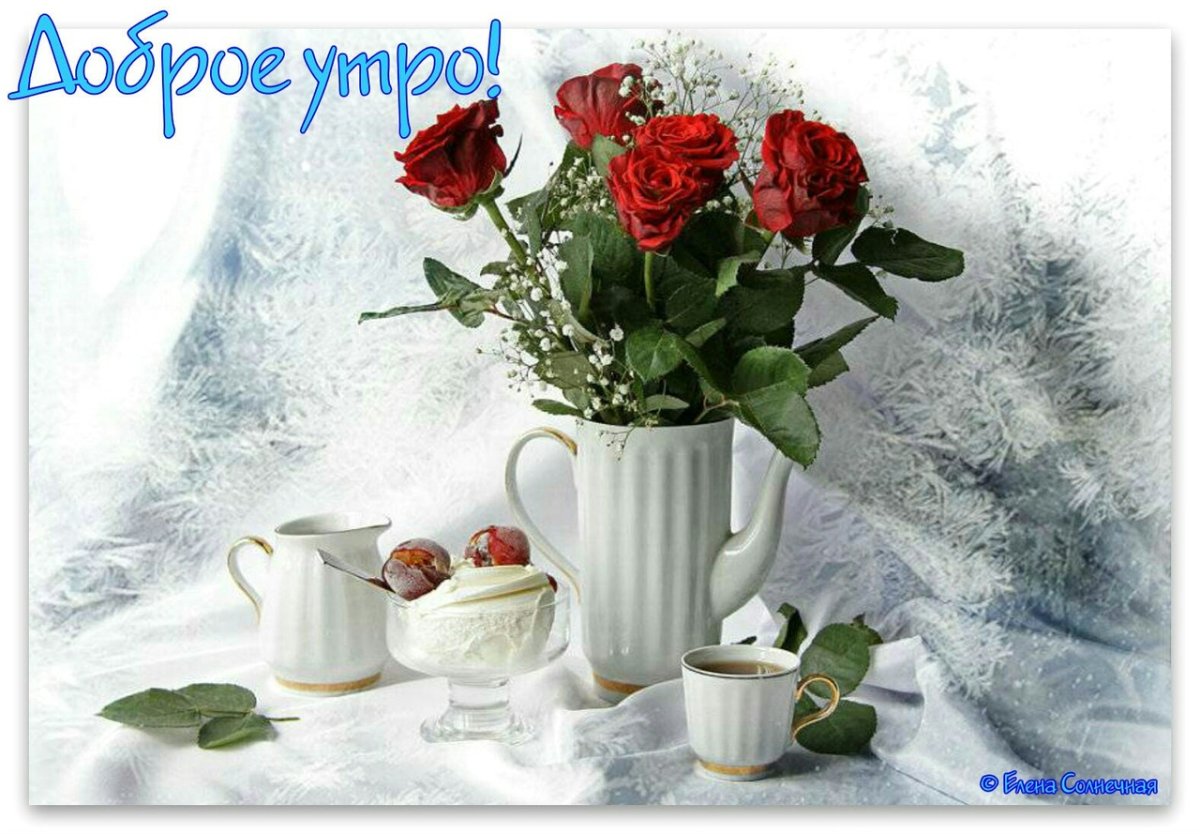 Доброе утро и хорошего дня цветы зимой