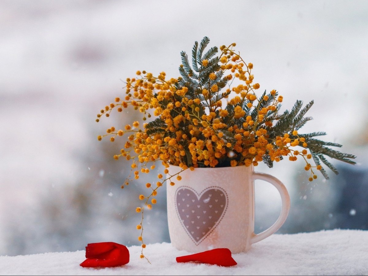 С теплым ноябрьским утром