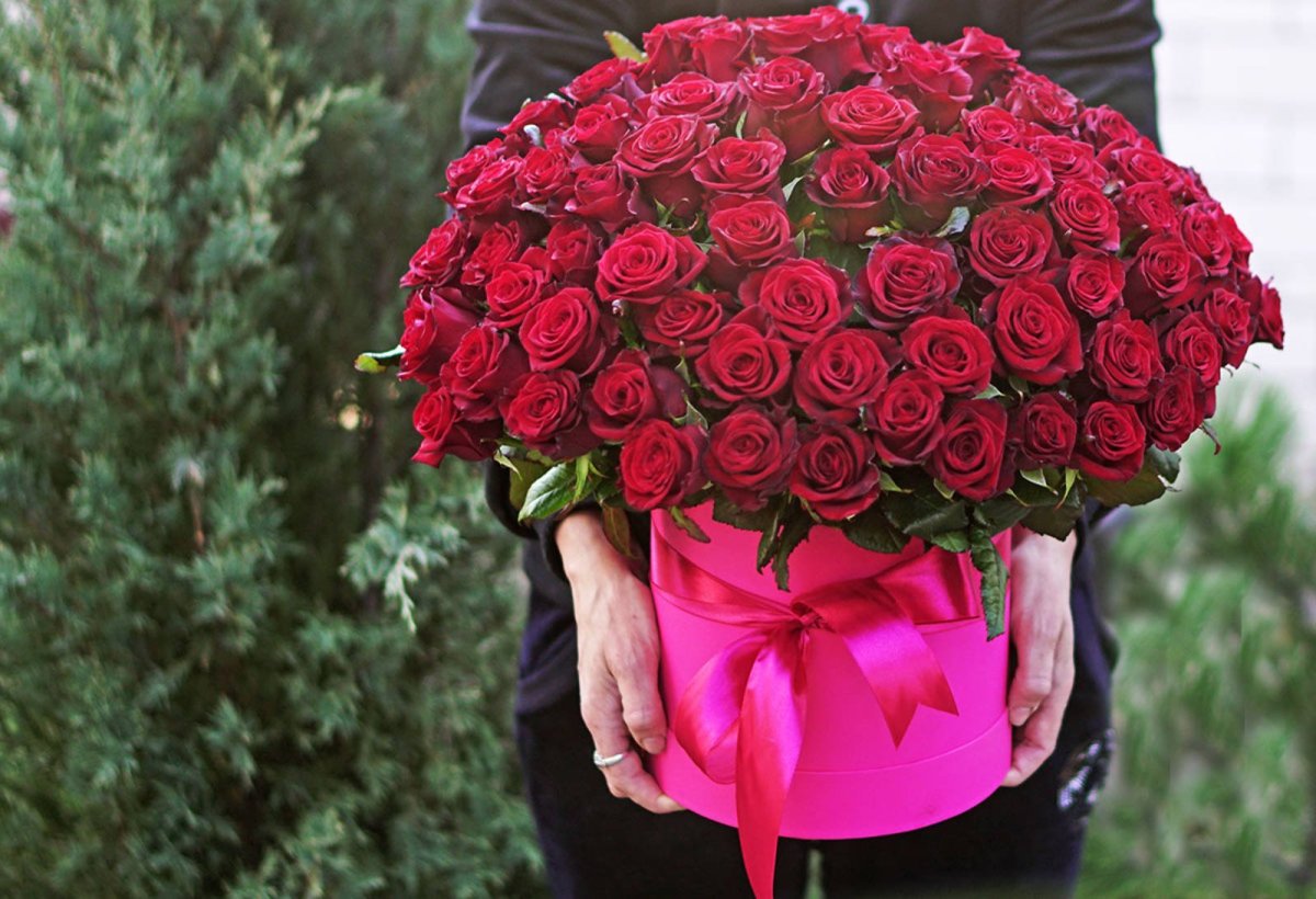Самый большой букет роз в руках