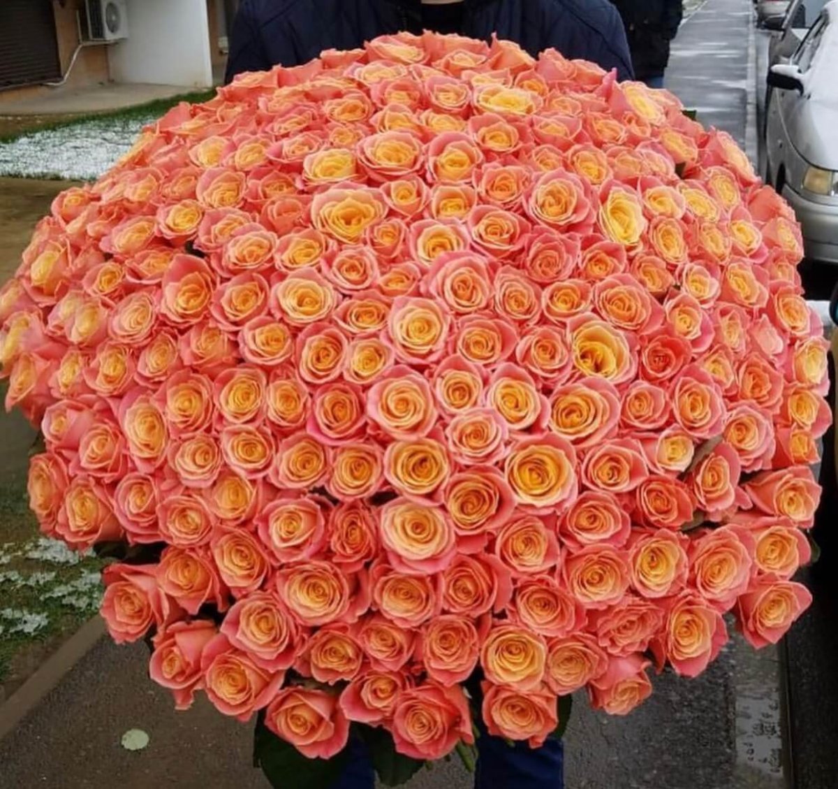 Большие букеты белых роз