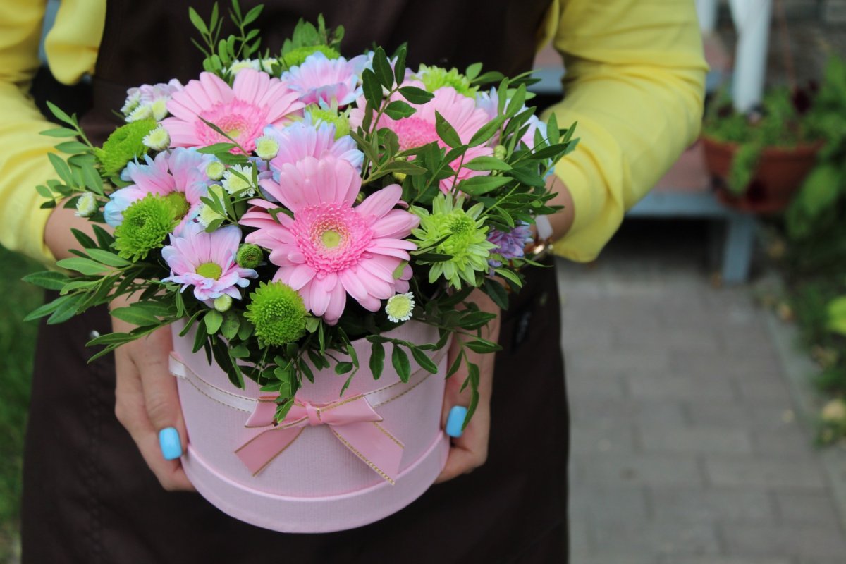 Классико Гербера-Хризантема