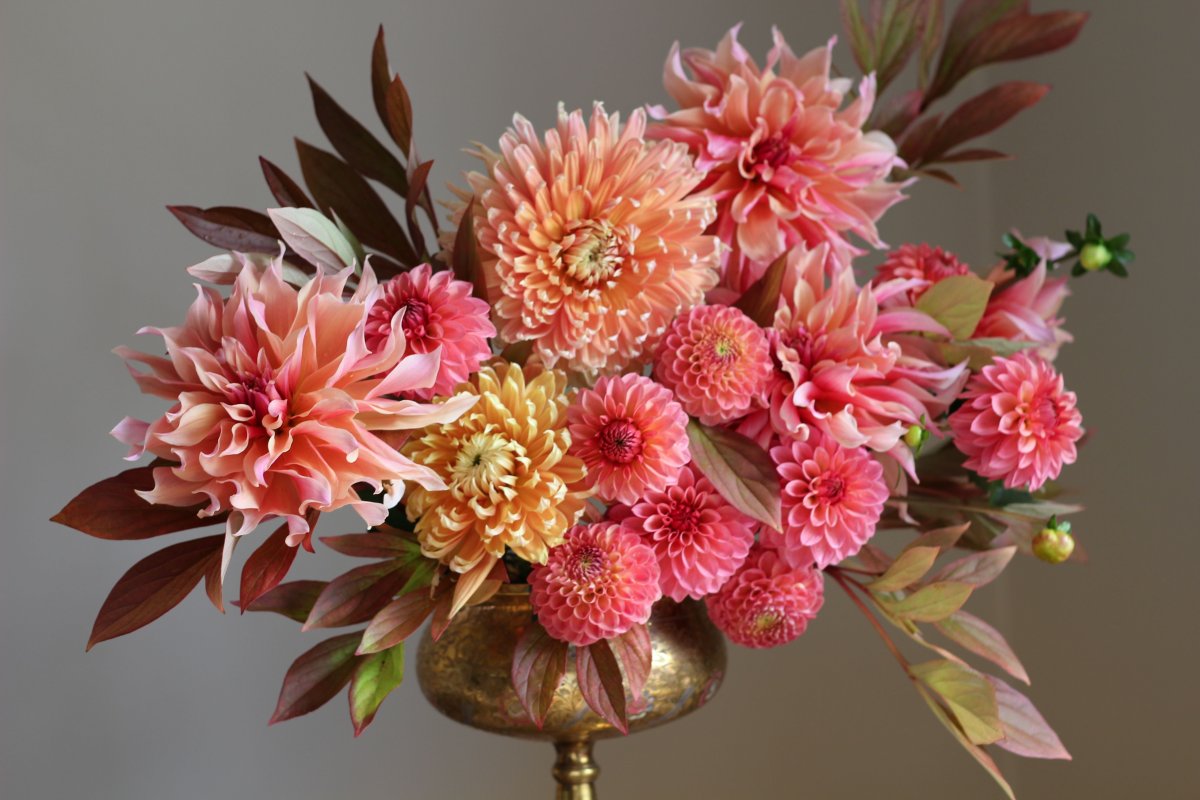 Георгины букет