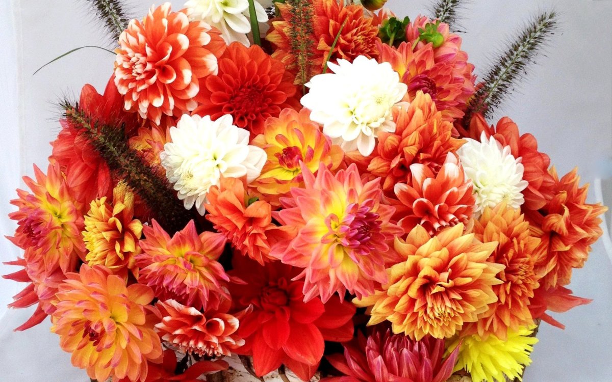 Букет гладиолусы георгин Хризантема
