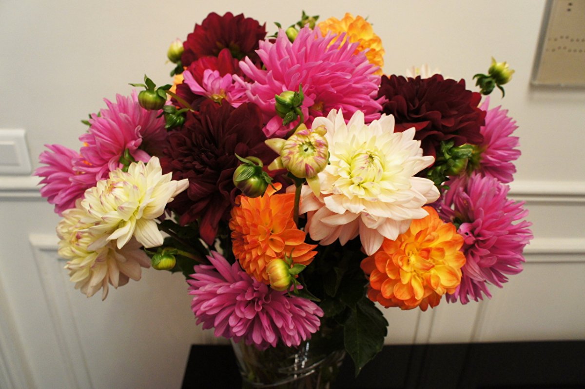 Осенний букет георгины