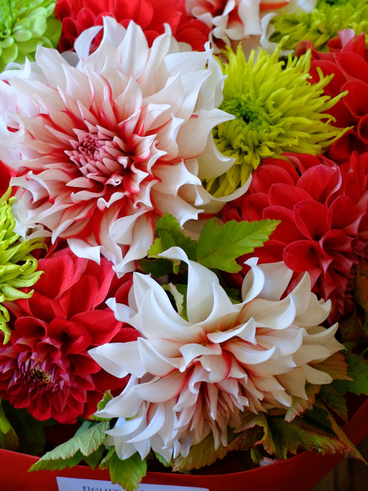 Букет георгинов