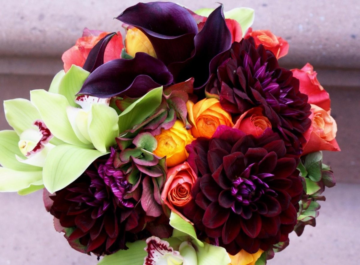 Цветы георгины букет