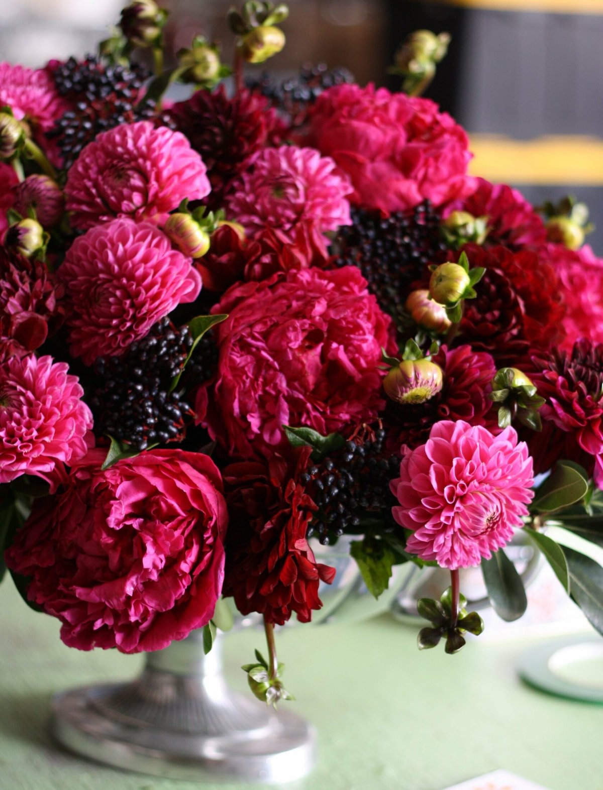 Хризантема Sorbet Berry