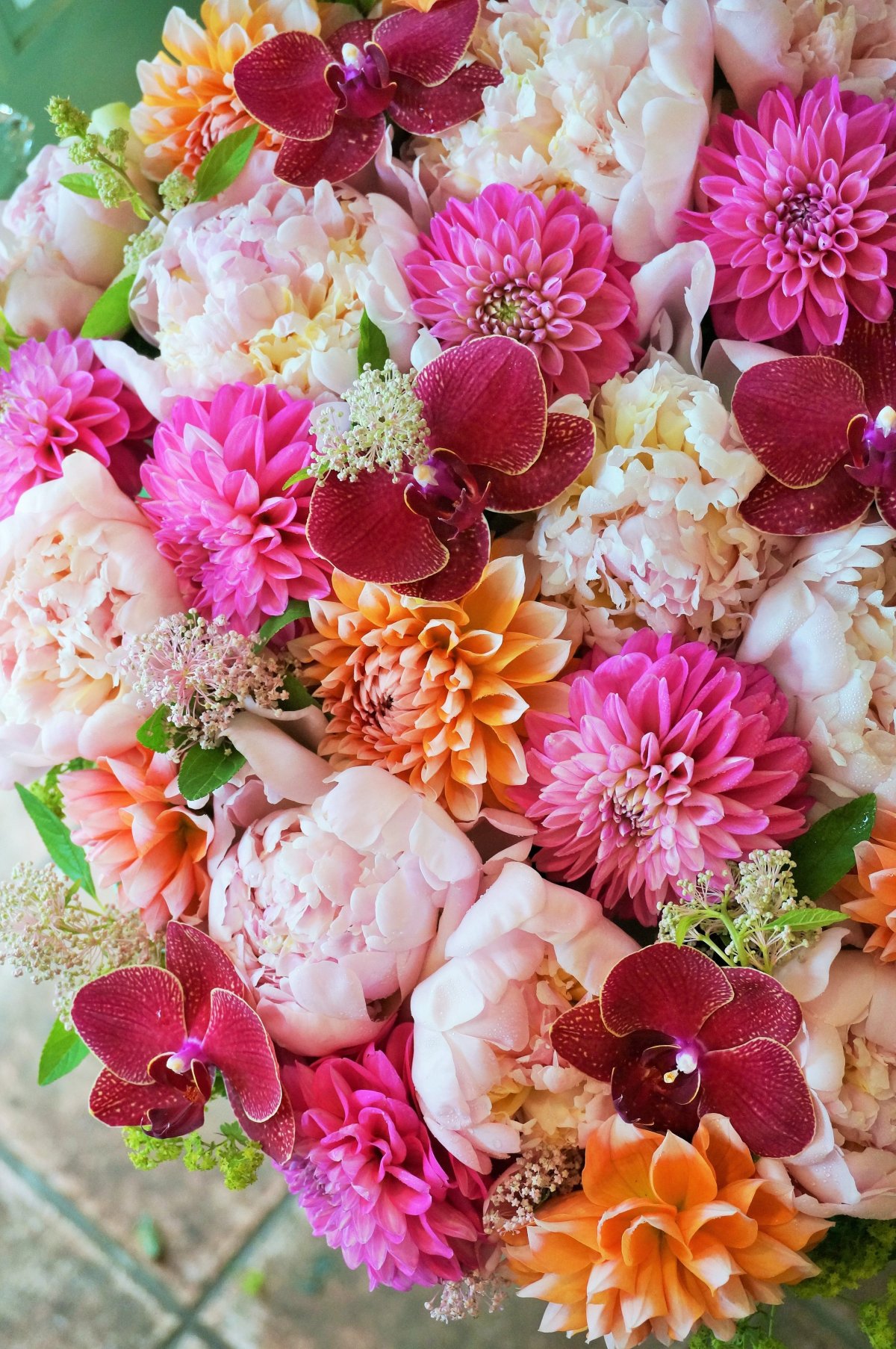 Пионы и георгины