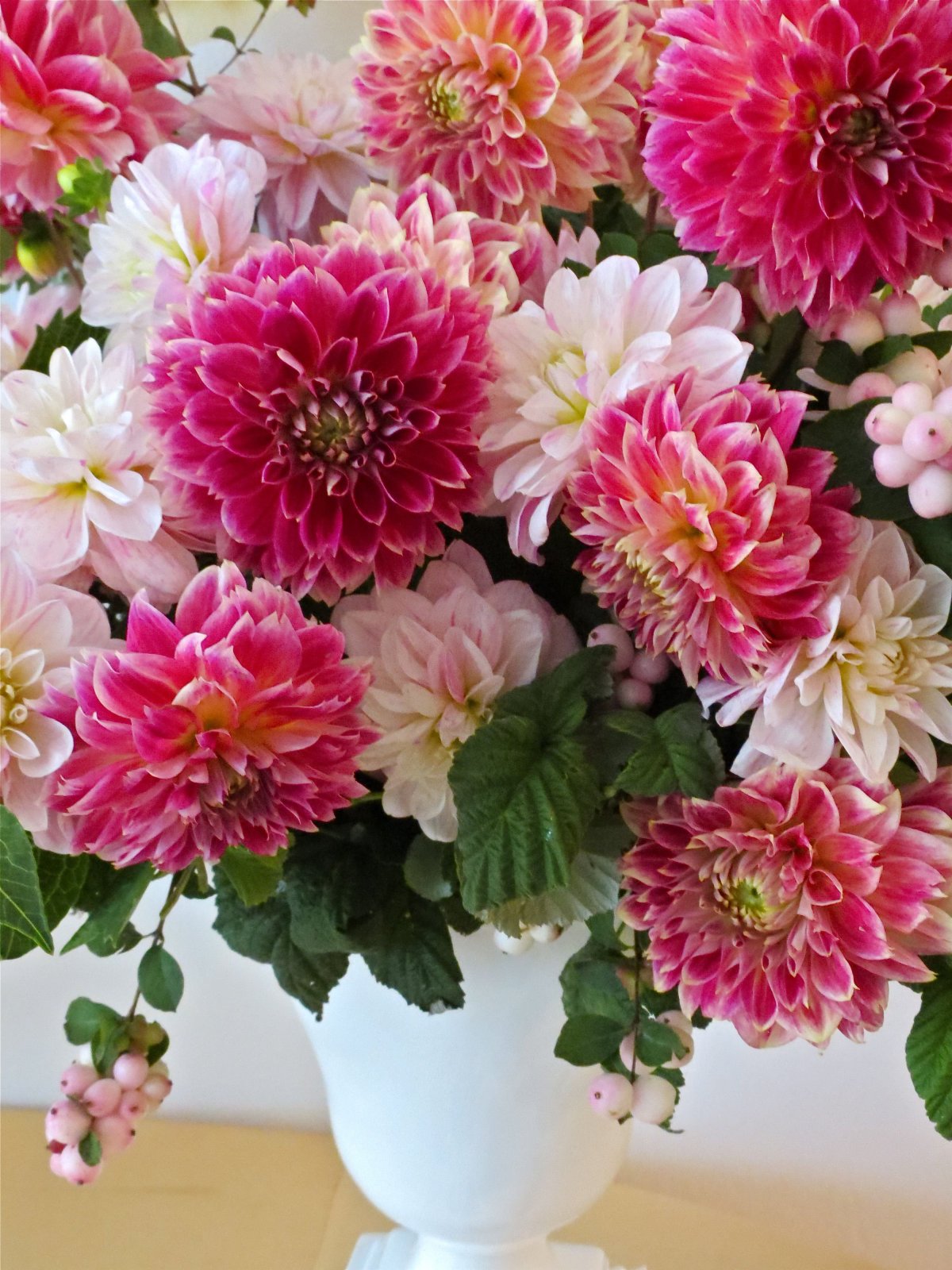 Астры георгины хризантемы