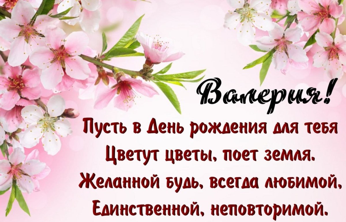 Поздравления с днем рождения Софии в прозе своими словами