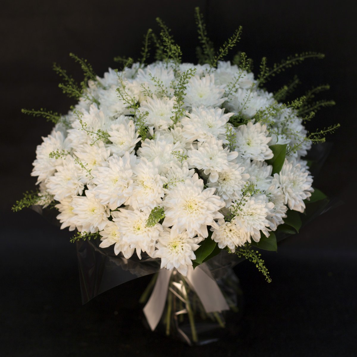 Хризантема кустовая Алтай белая