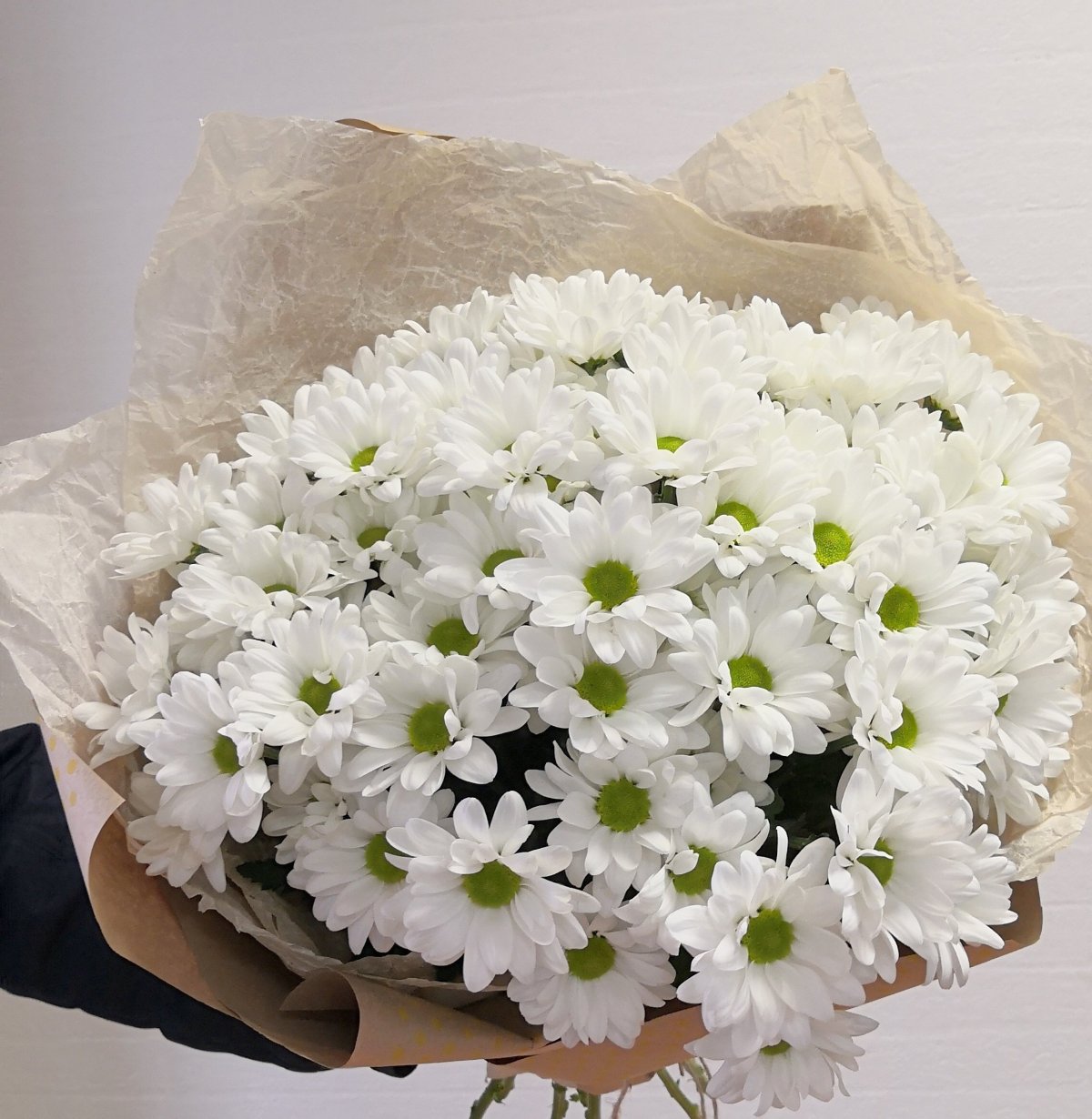 Хризантема кустовая белая