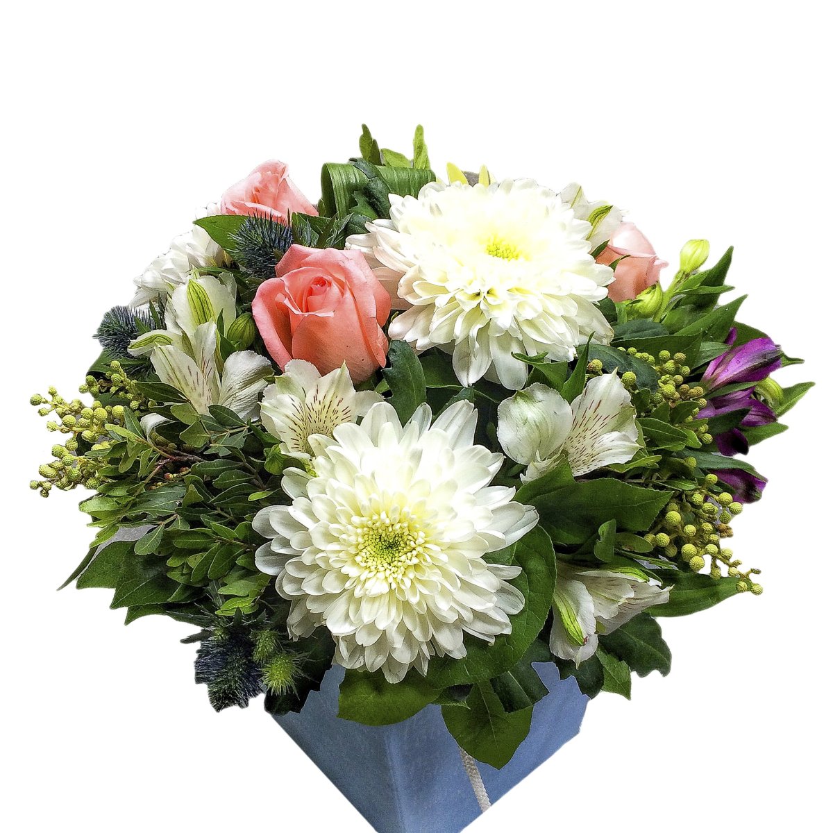 Хризантема кустовая белая