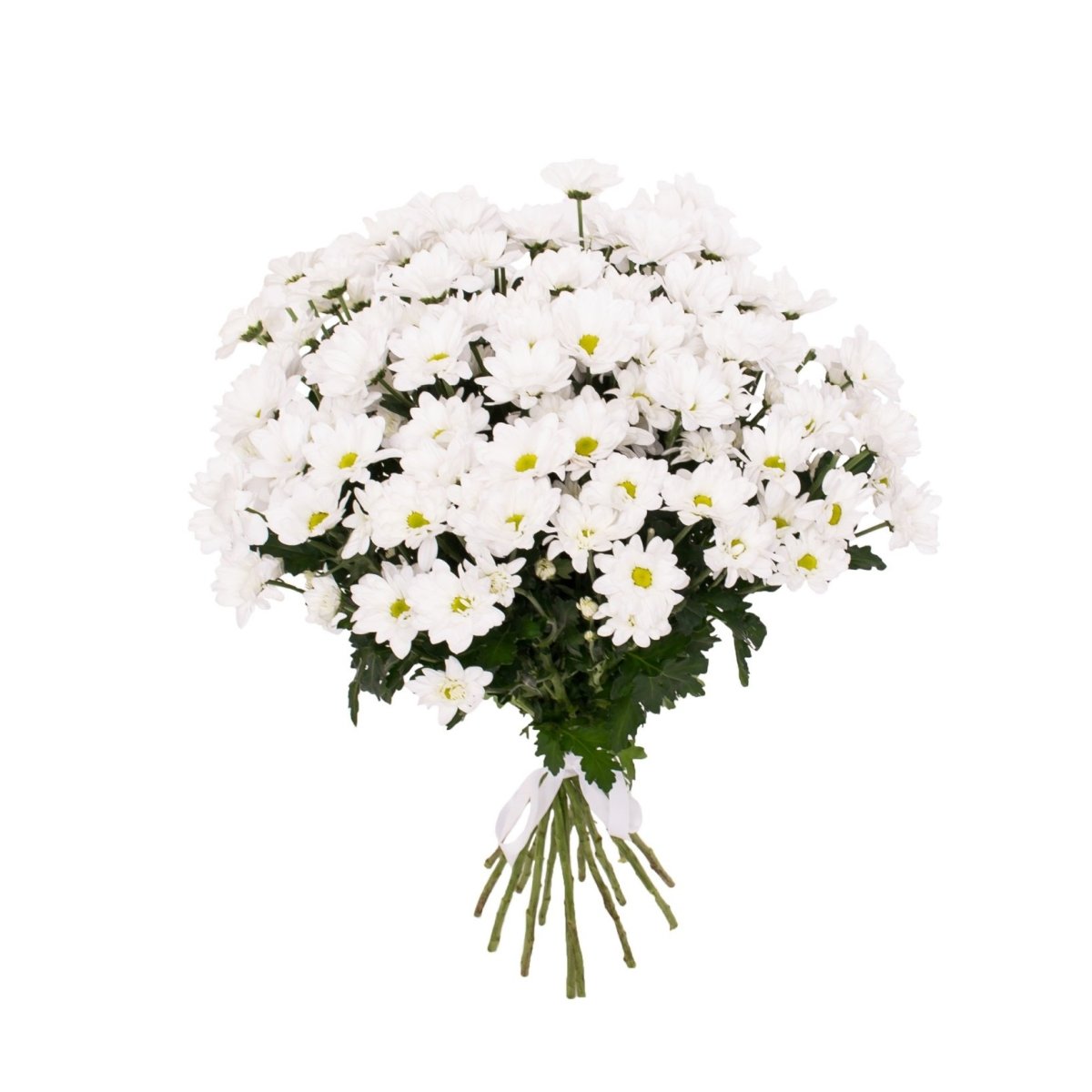 Букет ромашек с хризантемами