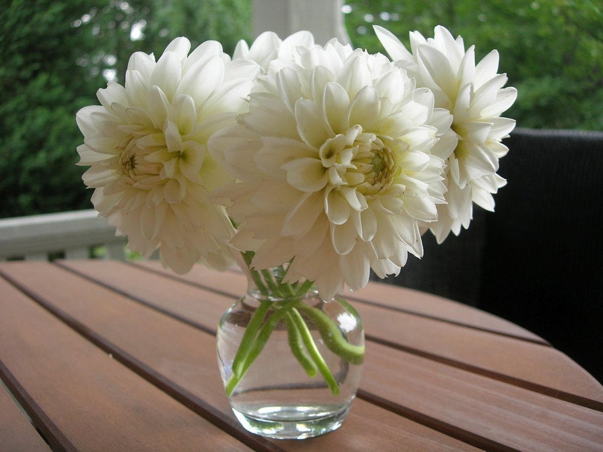 Букет из георгин в вазе