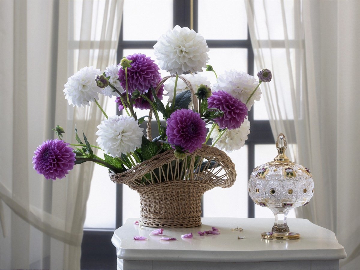 Хризантемы в вазе