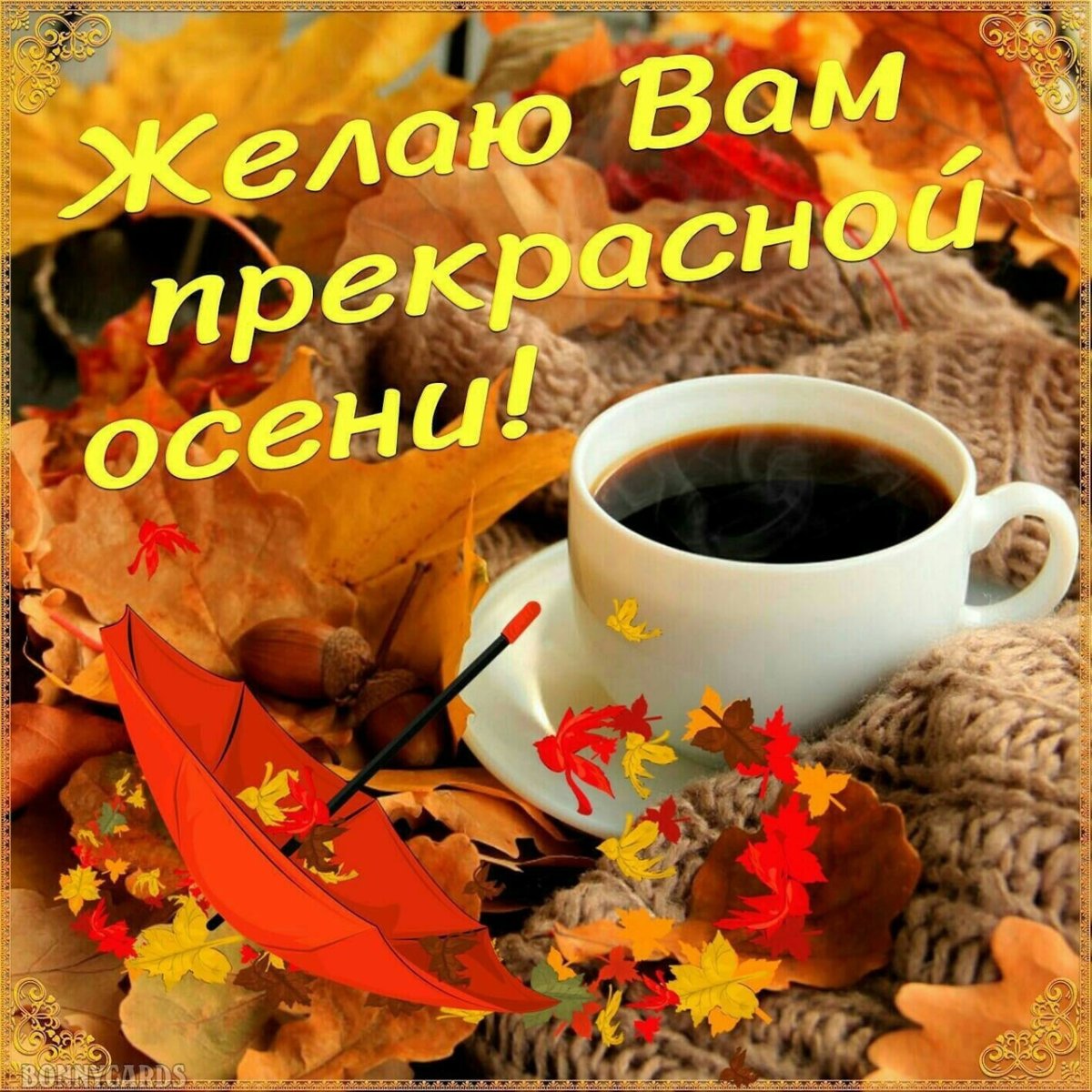 С добрым осенним утром