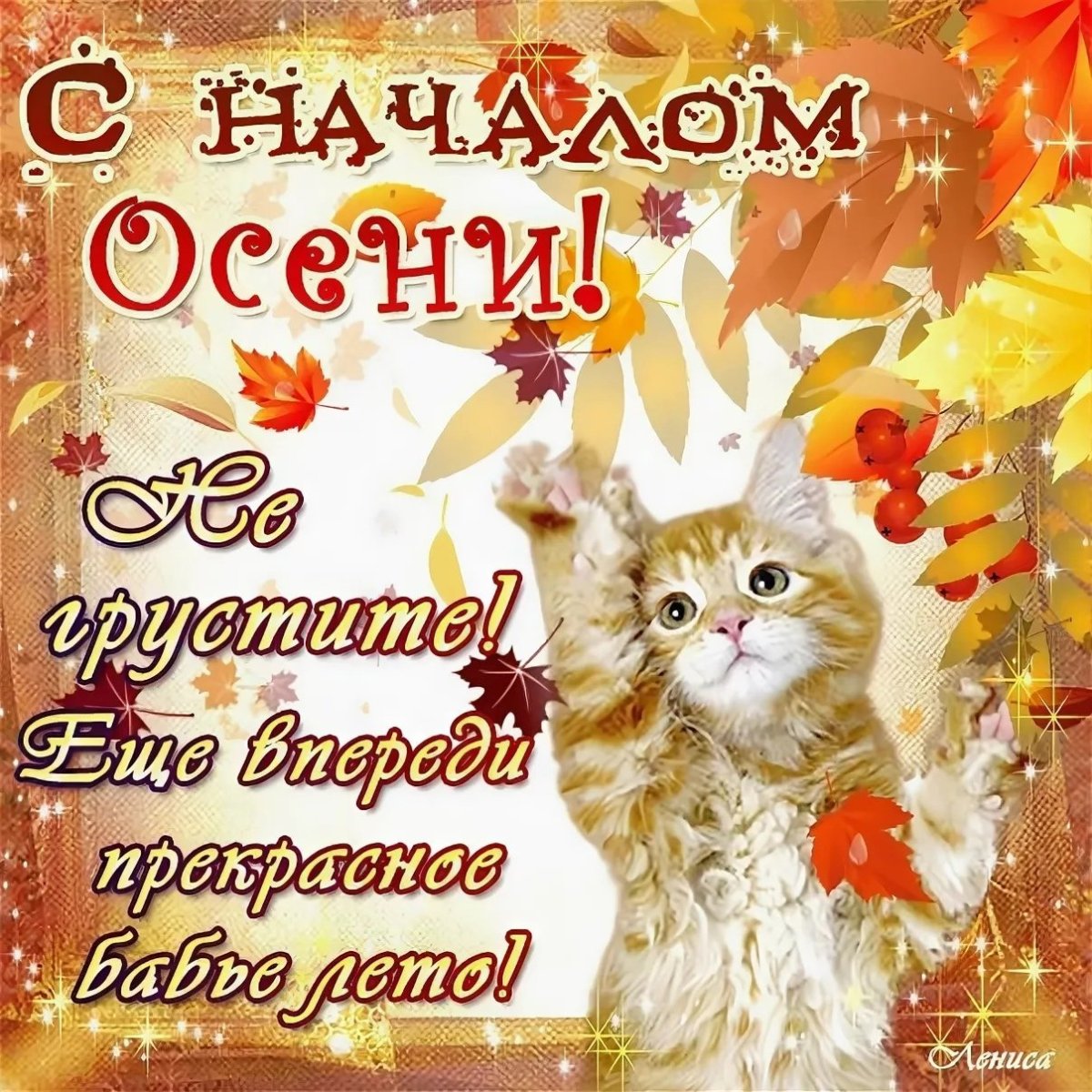 Доброе утро понедельника хорошего настроения