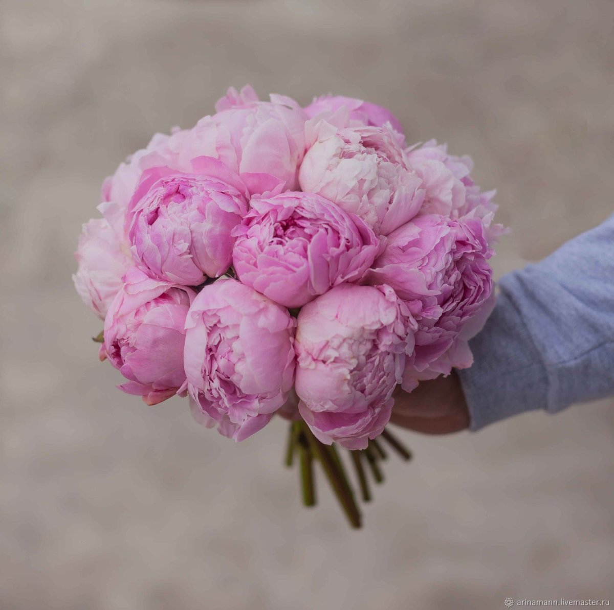 Пион корнешинал