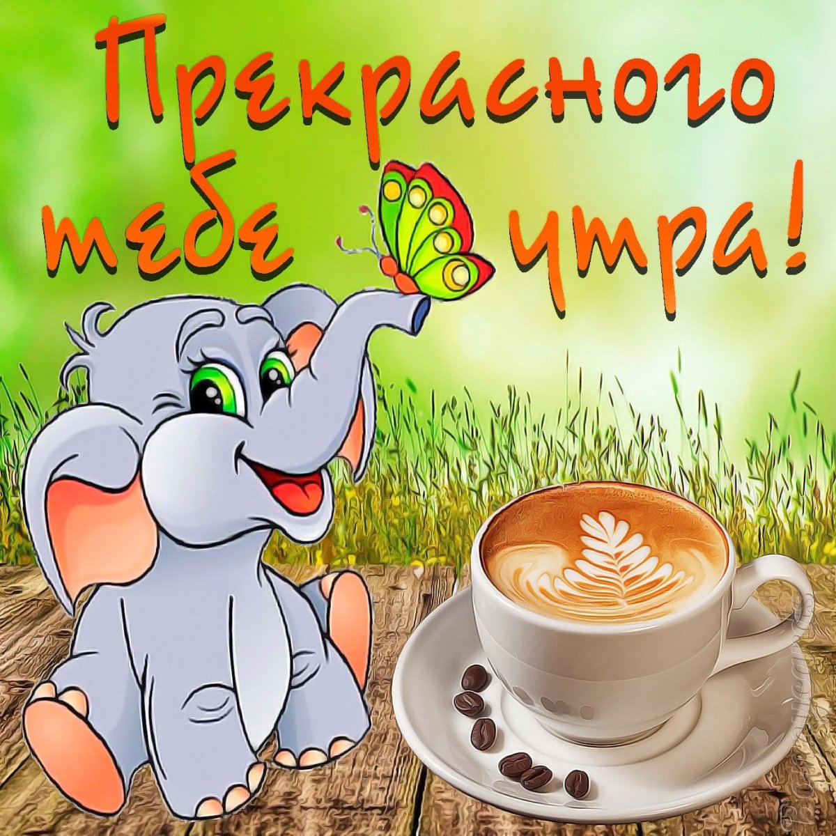 Добрый день