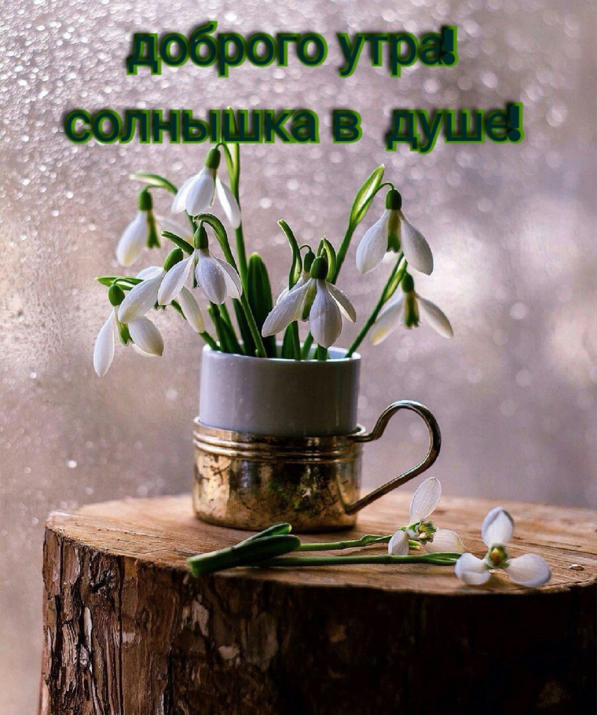 Пожелания доброго утра