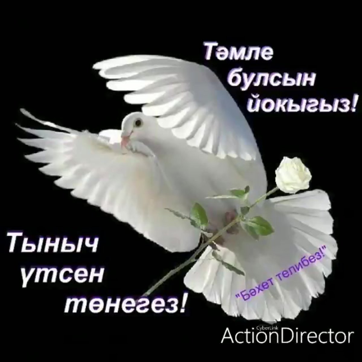 Доброй ночи друзья