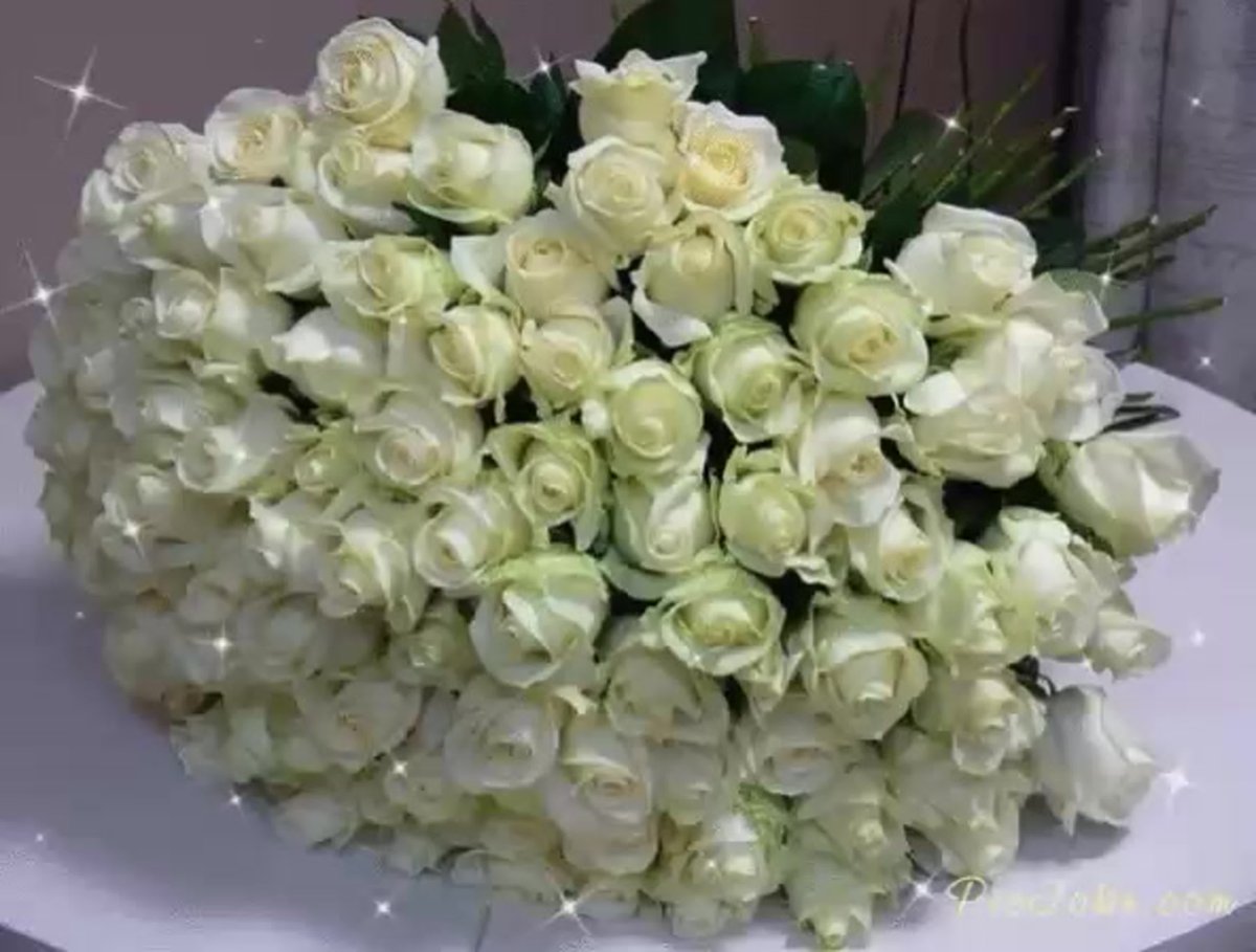 Огромный букет белых роз