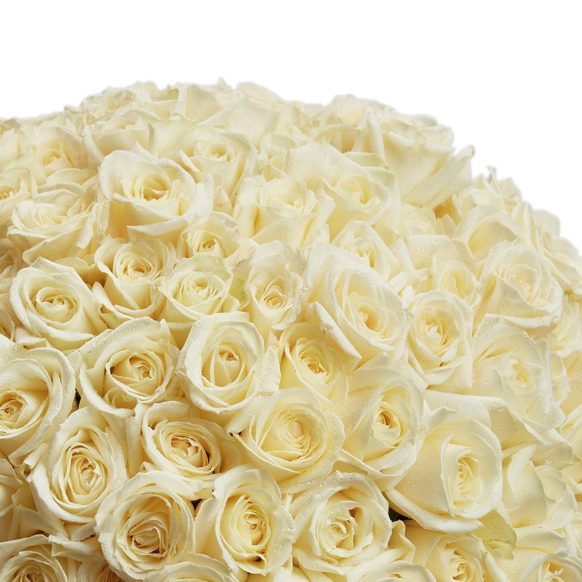 Букет белых роз