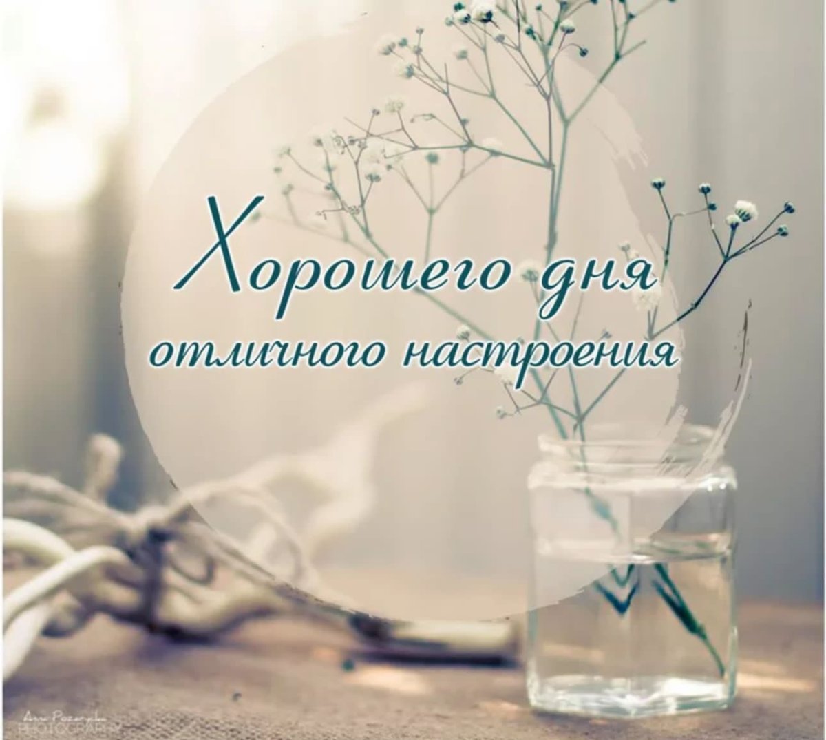 Стильные осенние открытки. Бесплатно.