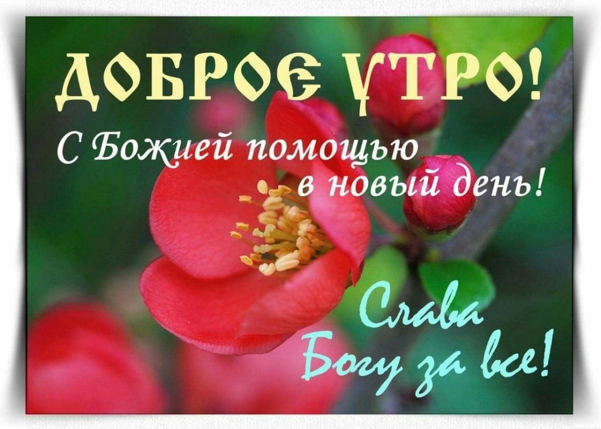 Радости Божьей благодати