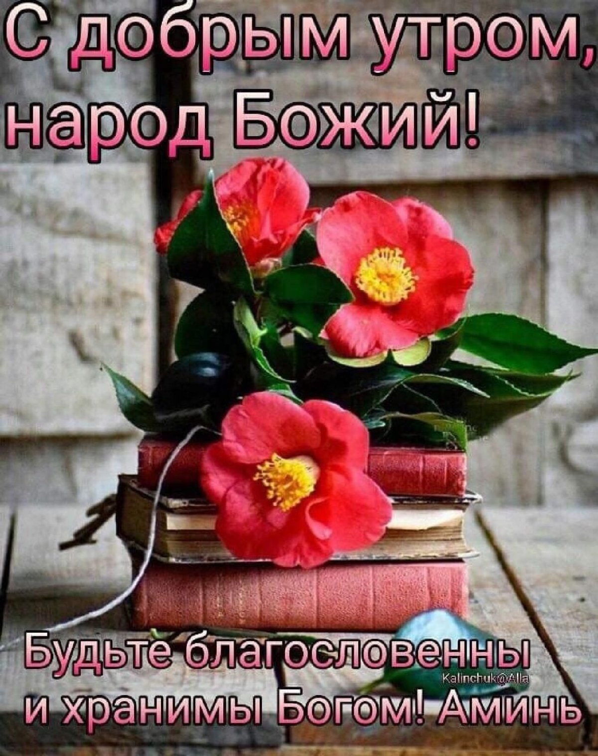 С началом Рождественского роста