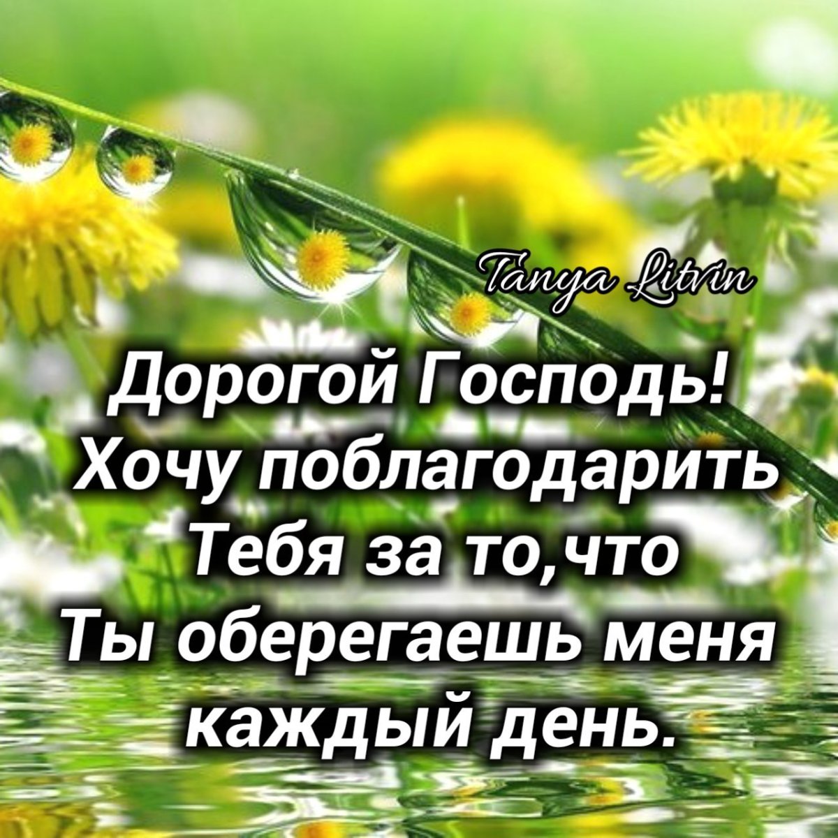 Пожелания с добрым утром Божьей благодати