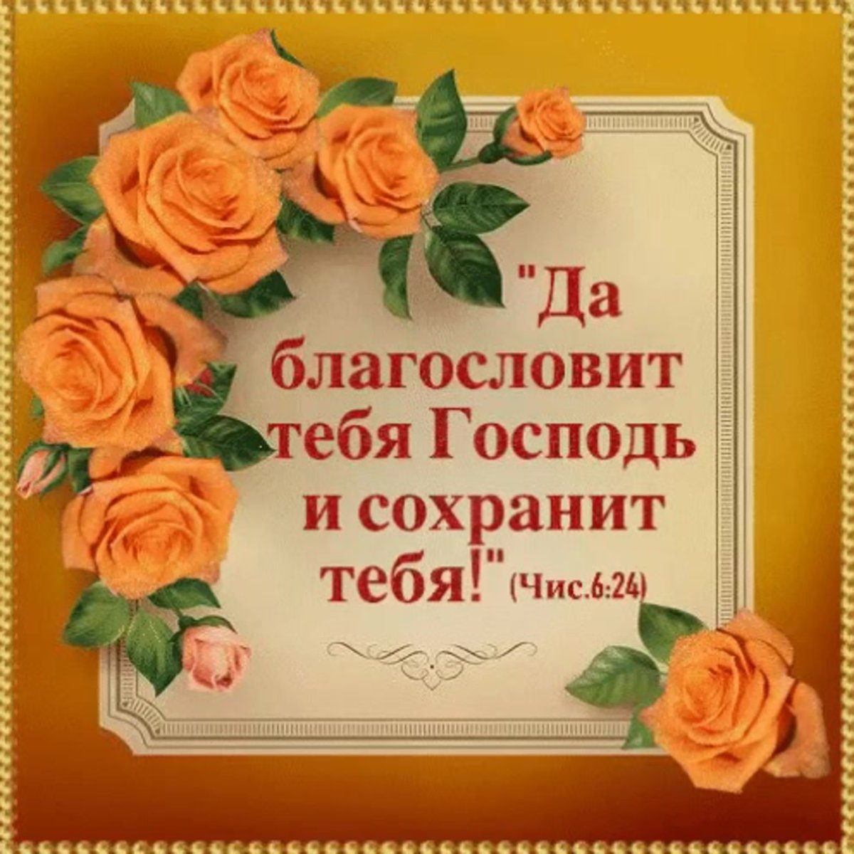 Храни тебя Бог