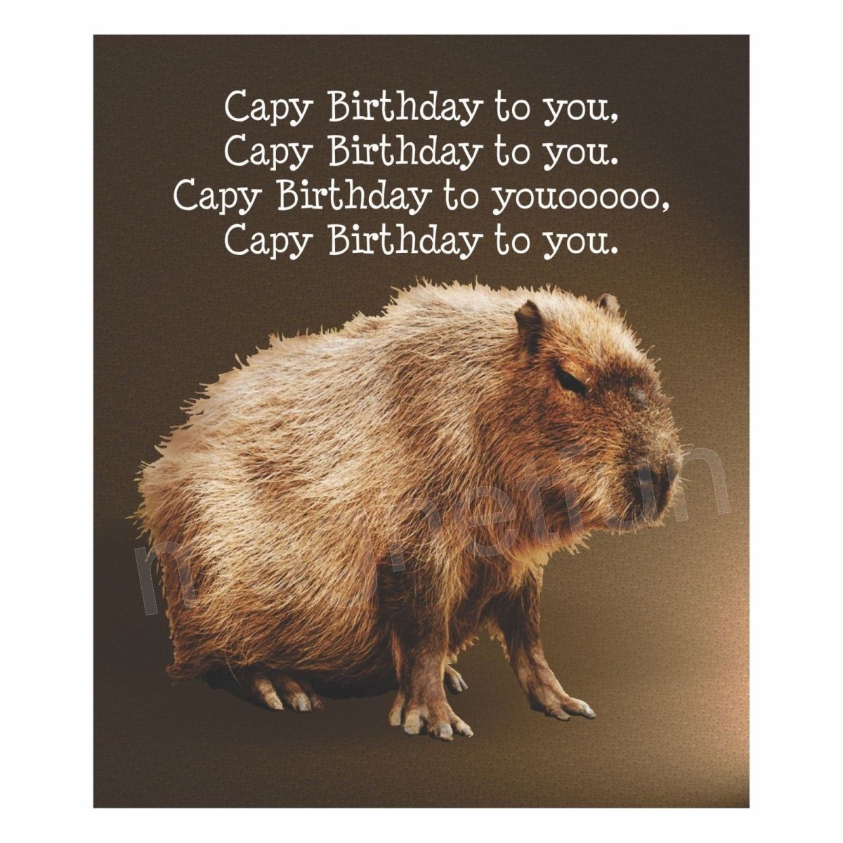 День капибары