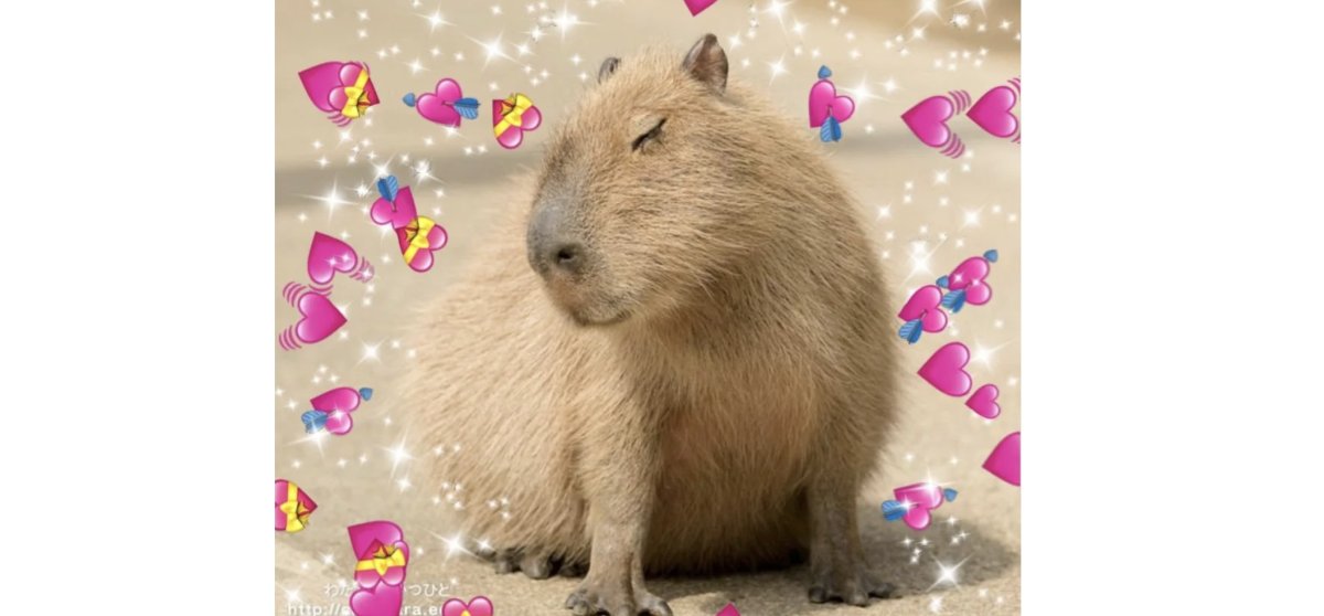 Капибара Санта Клаус