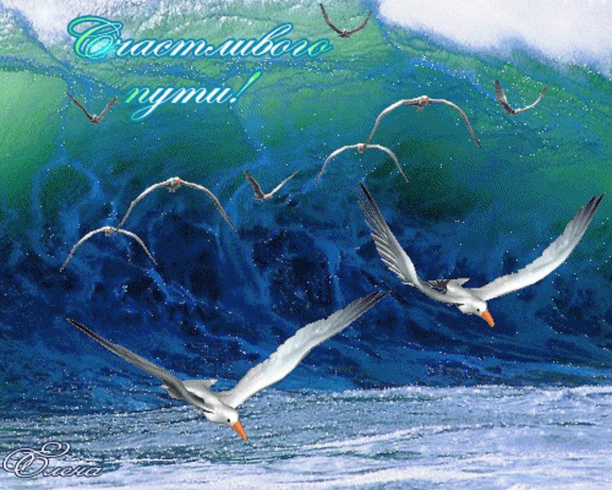 Дорога длиною в жизнь