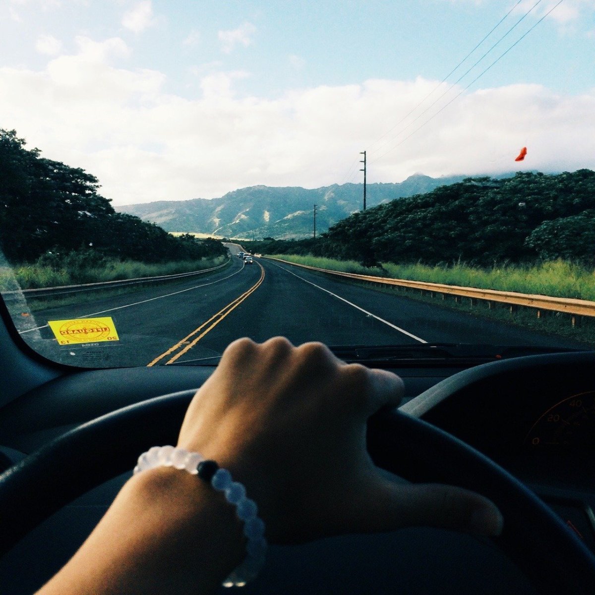 Художник Сергей Банитюк