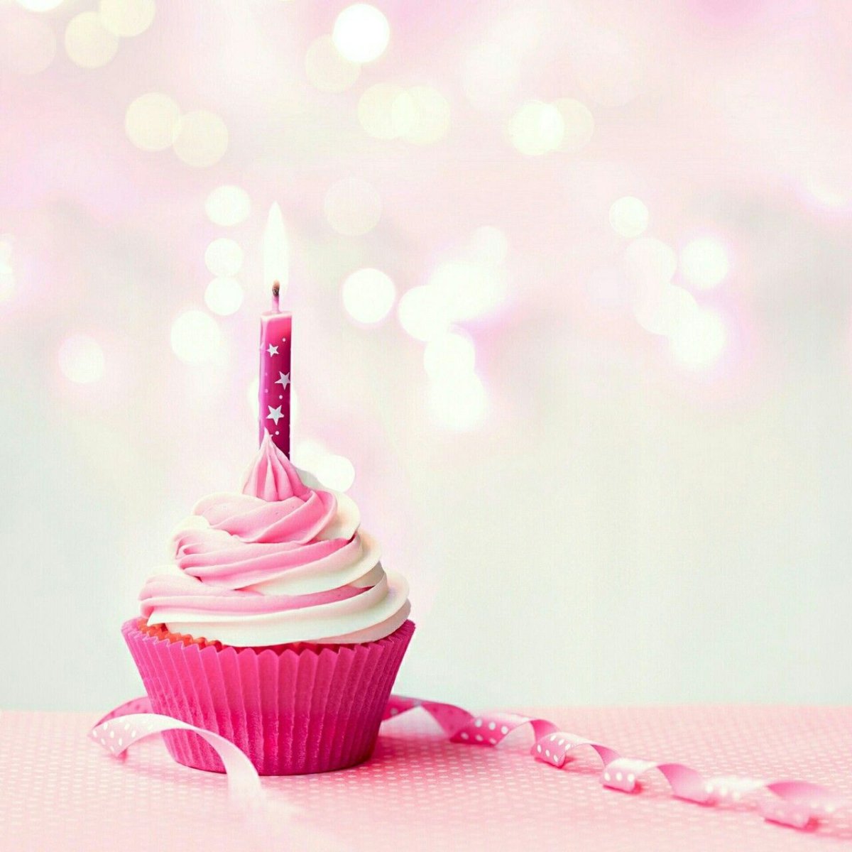 Кот поздравляет