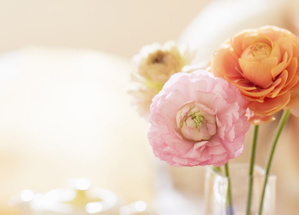 Нежный цветок