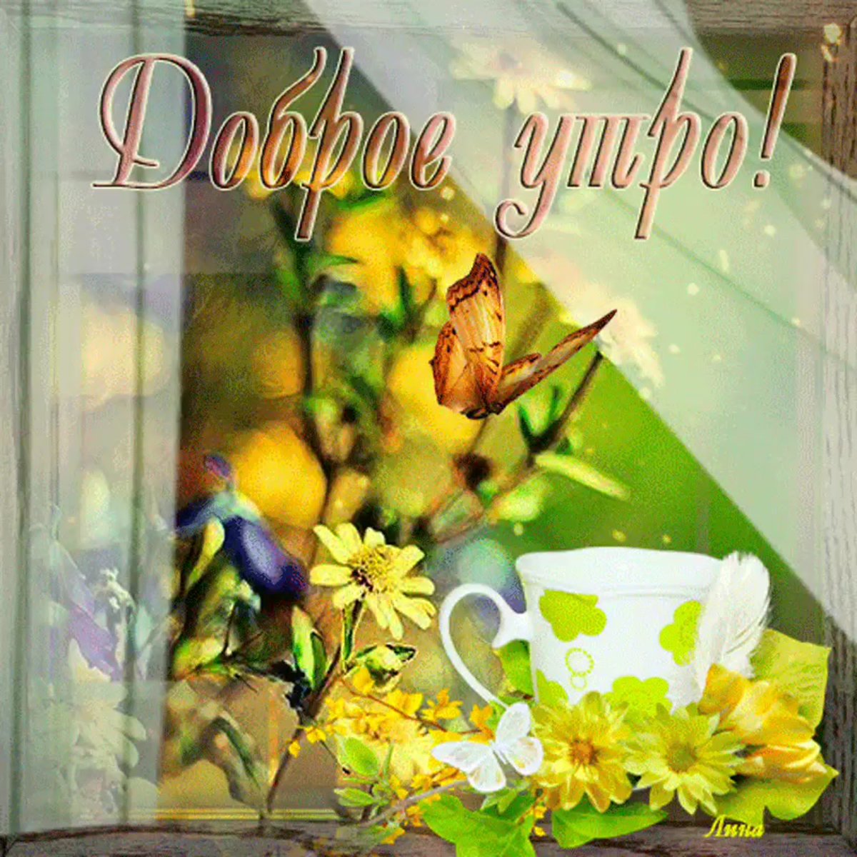 Доброе утро прекрасного дня