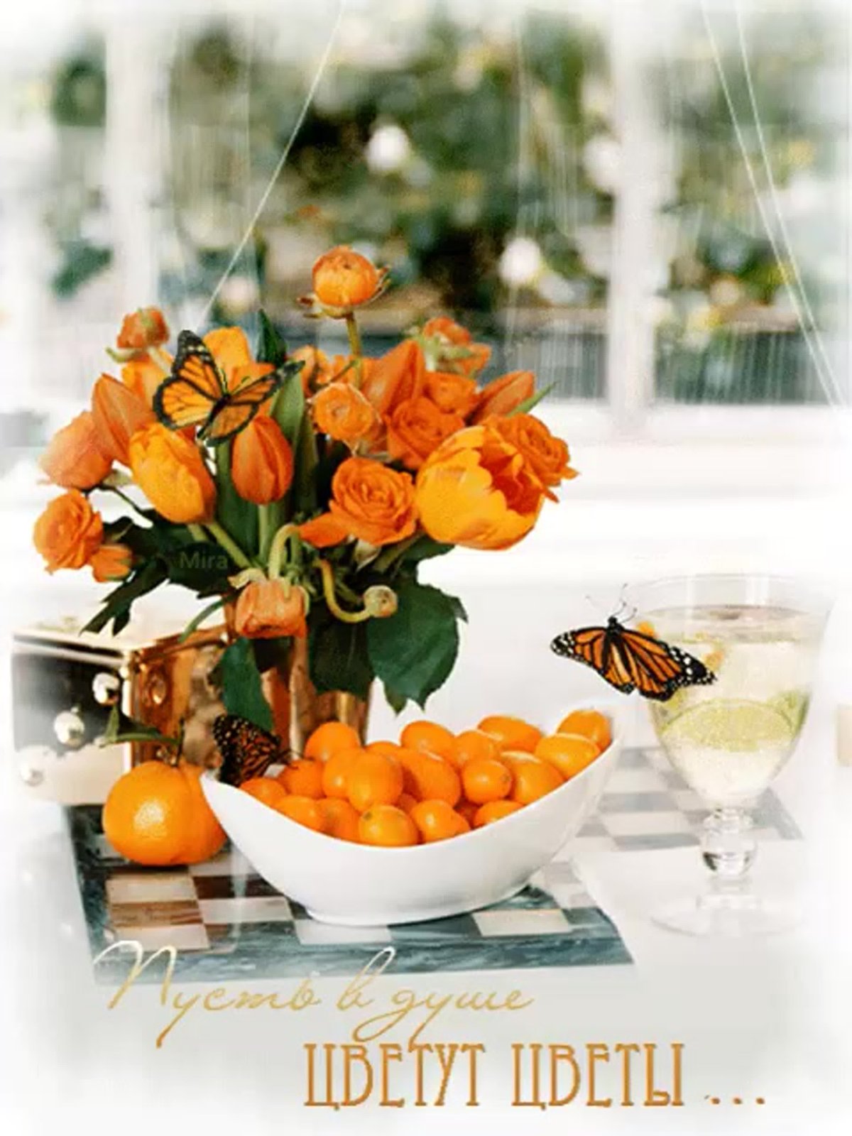 Пожелания доброго дня