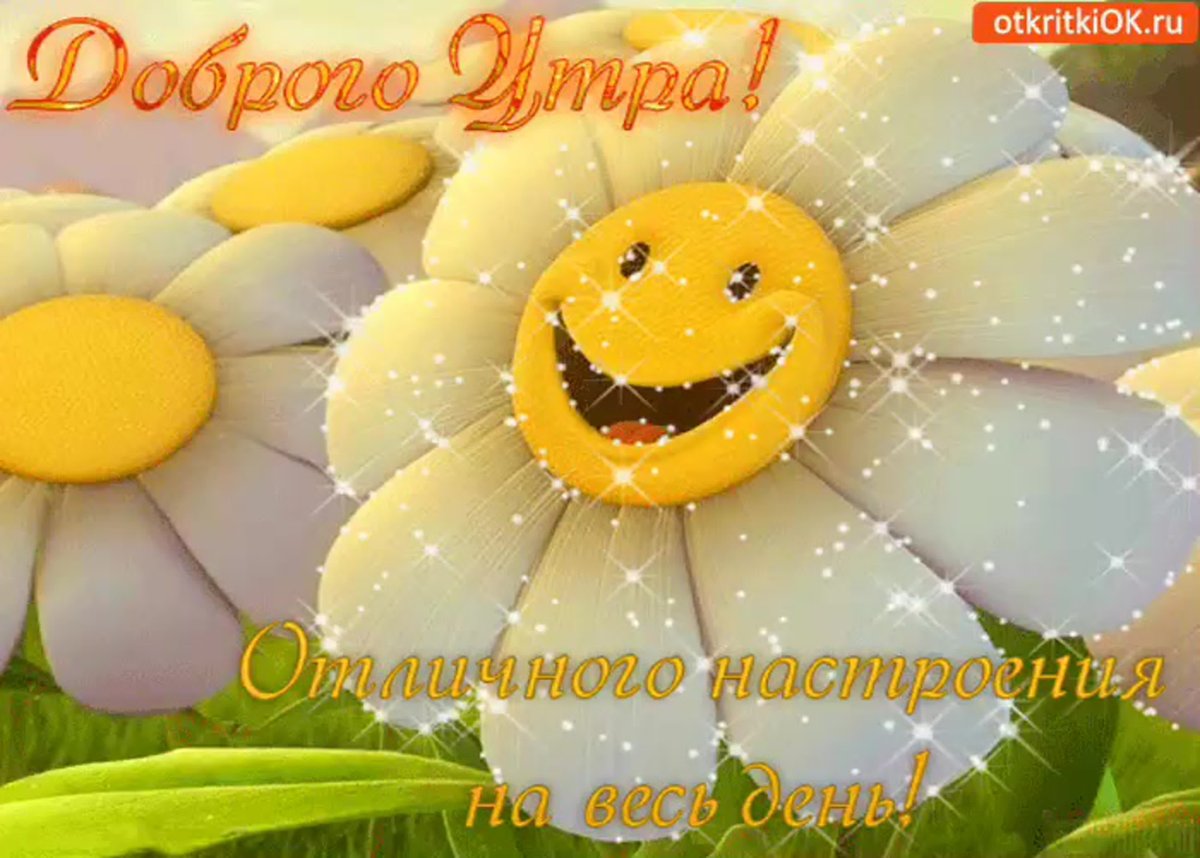 Доброе утро Светлана