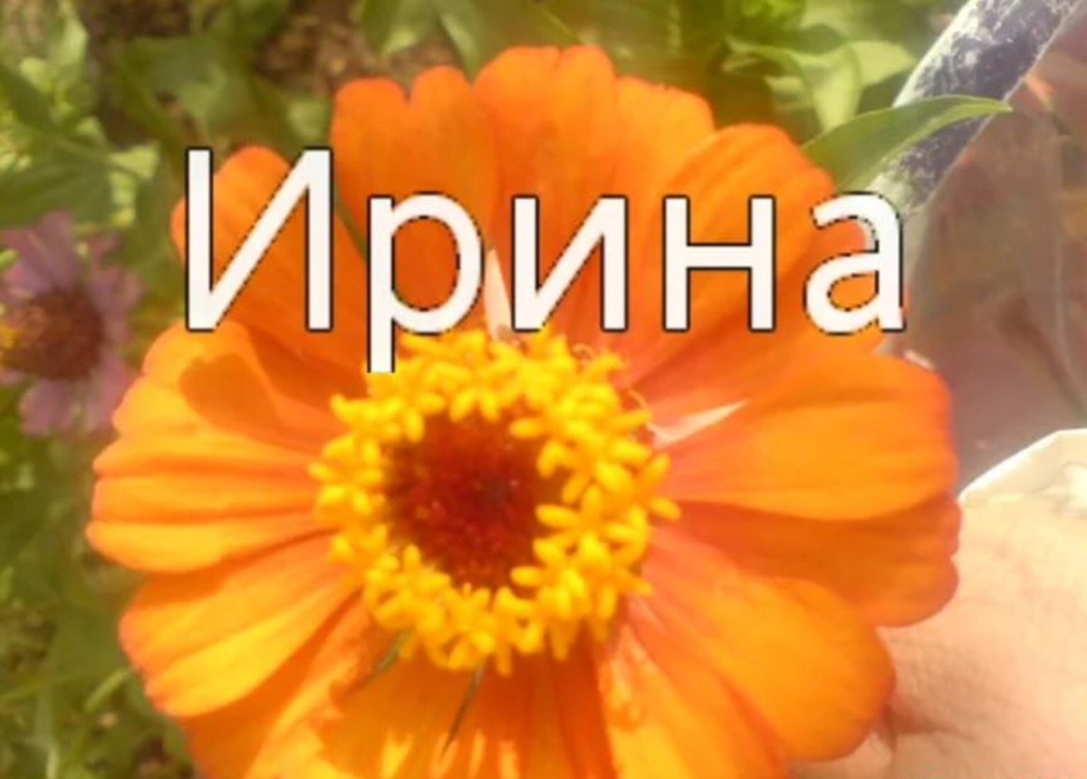 Открытки для Иришки