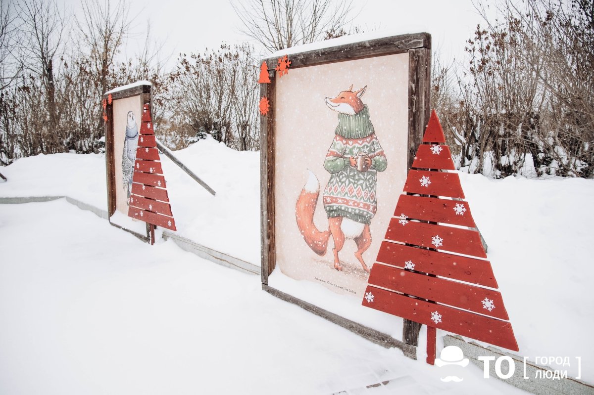 Томск деревянная университет