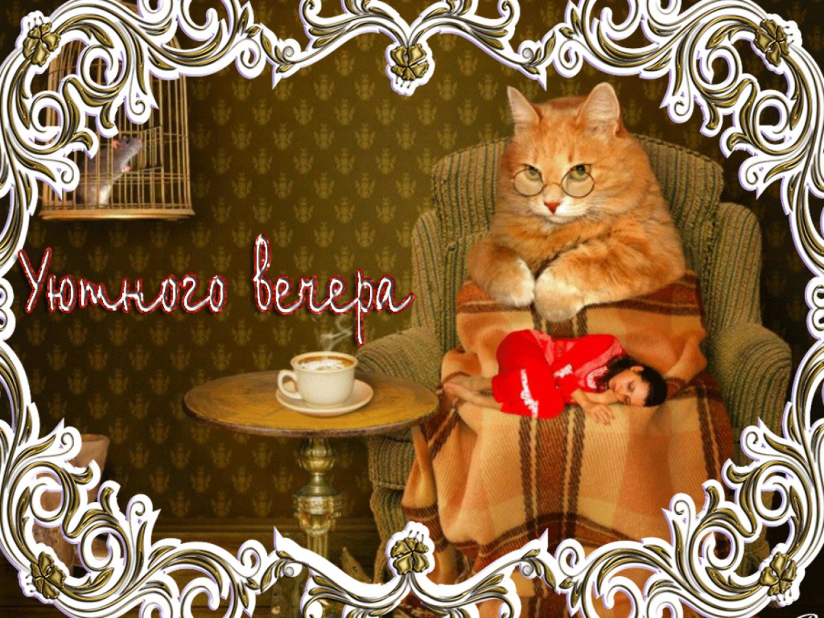 Коты Ирины Зенюк 2020