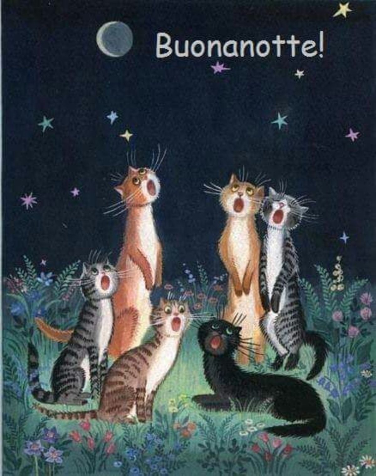 Влюбленный кот